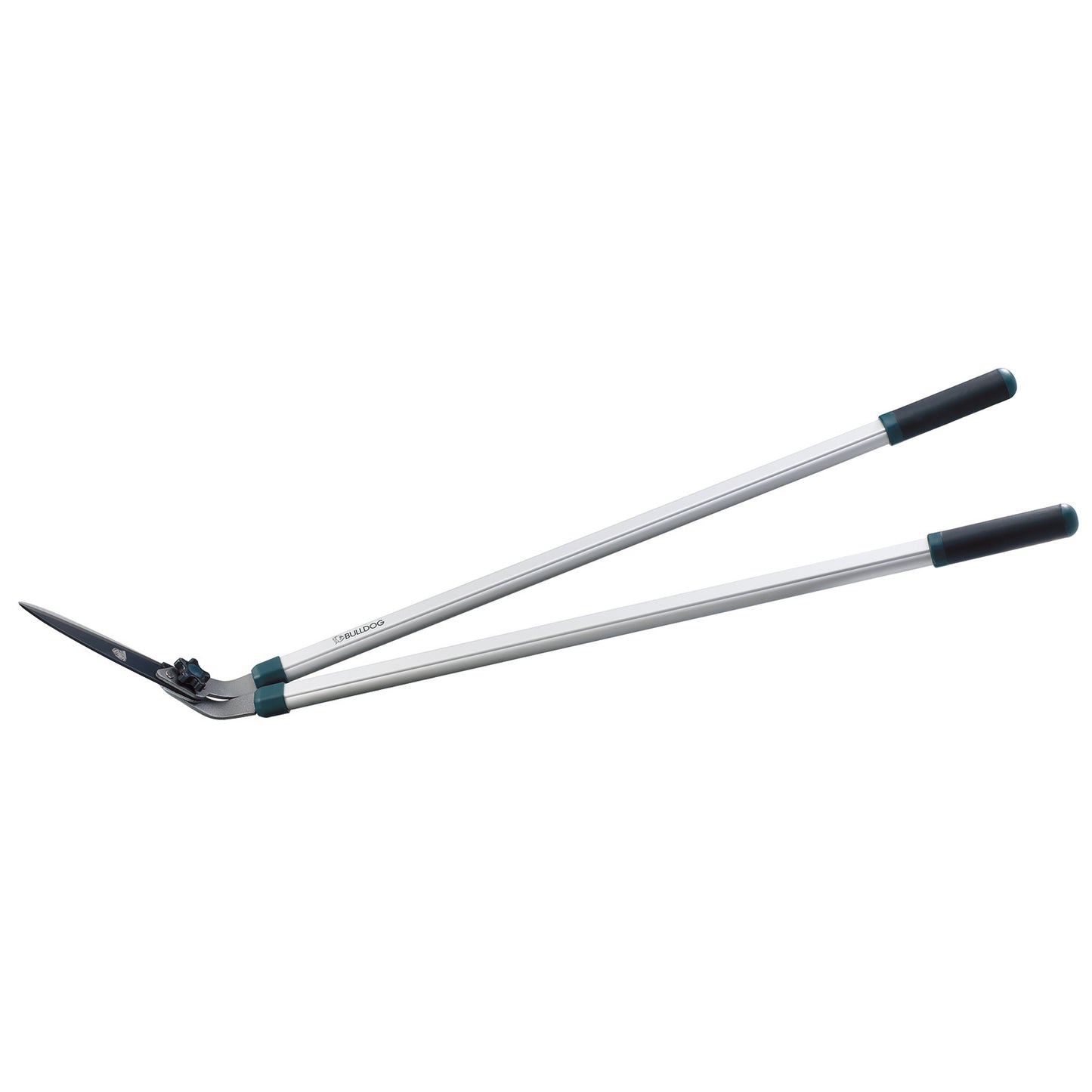 Lawn Edging Shears