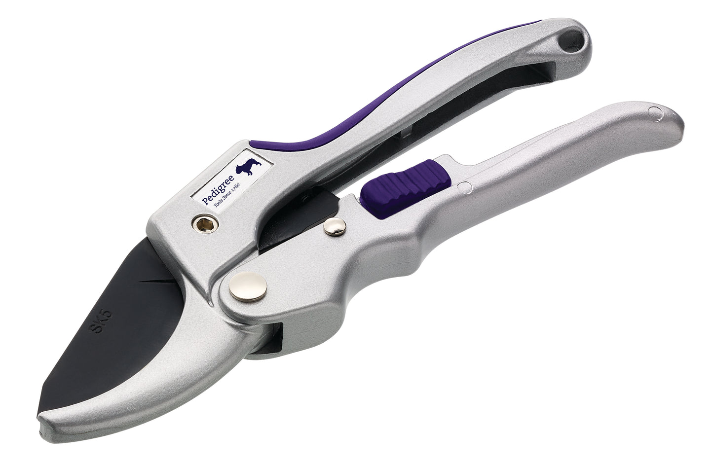 Power Ratchet Secatuer