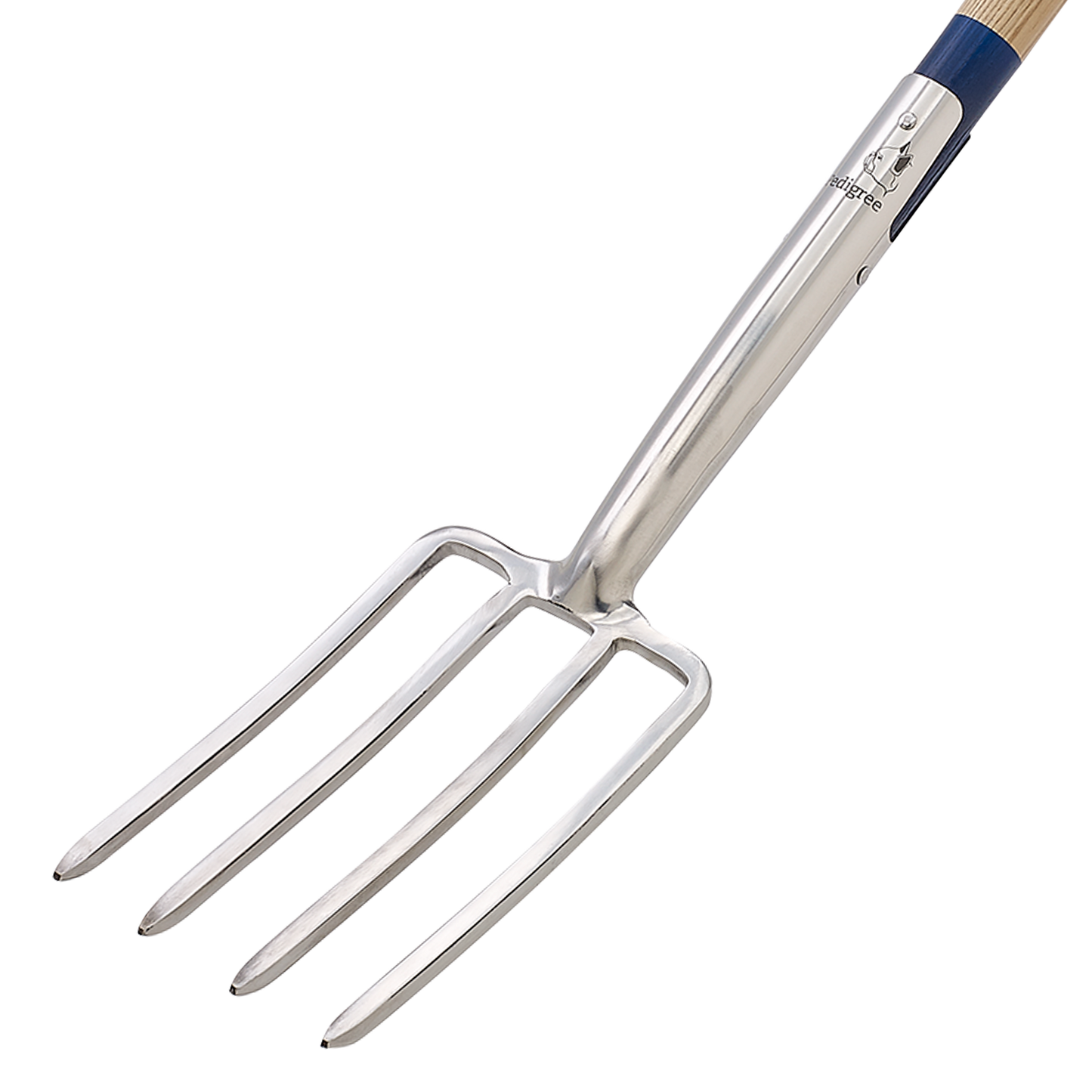 Border Fork