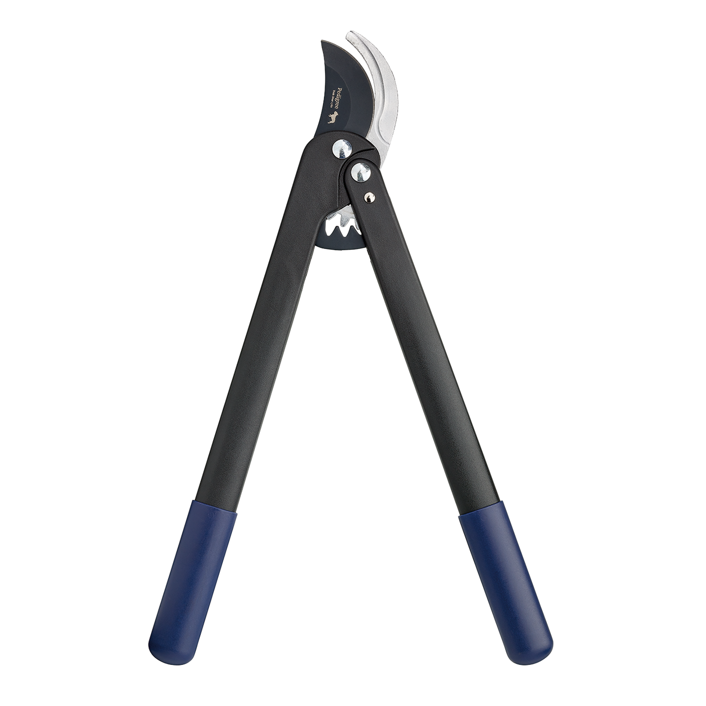 Geared Bypass Lopper