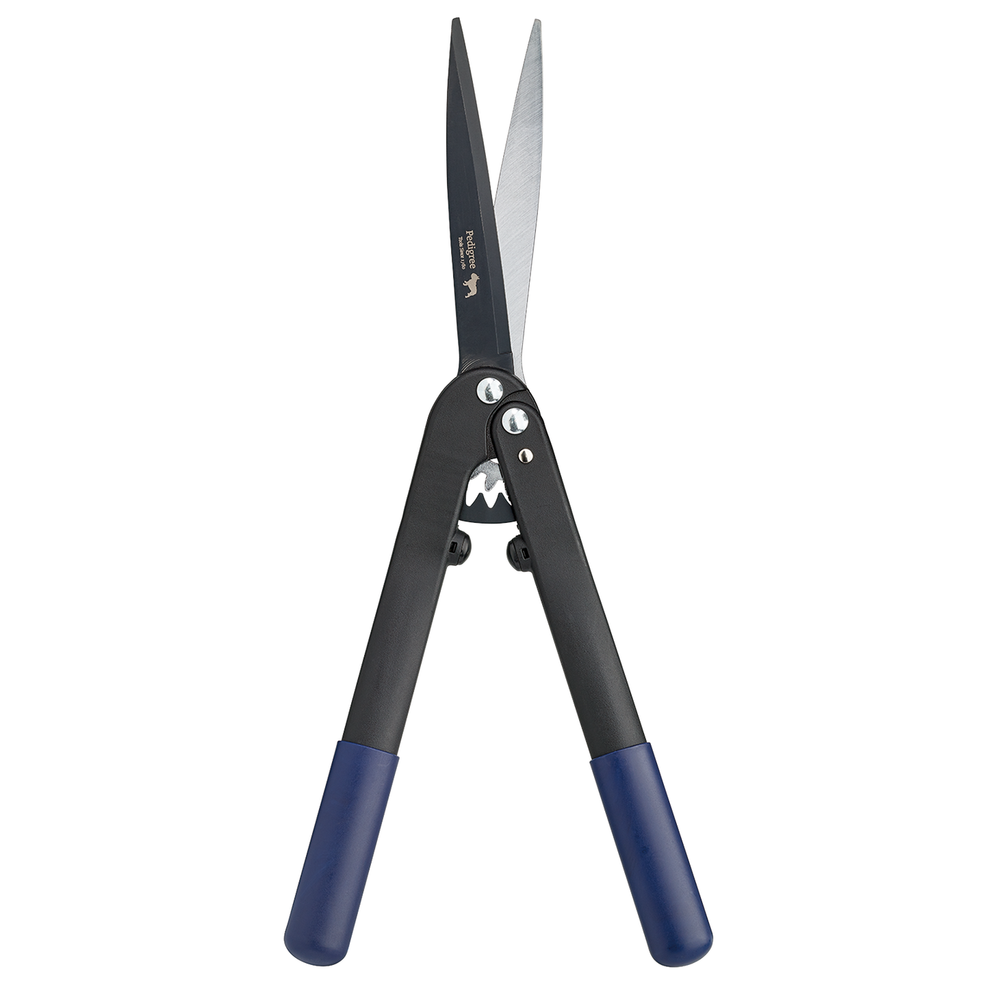 Geared Hedge Shear