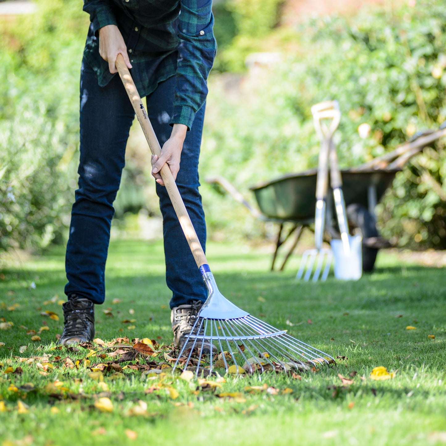 Lawn Rake