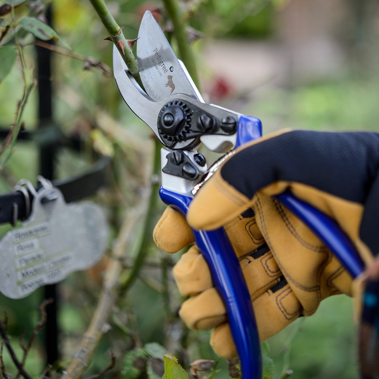 Professional Bypass Secateur