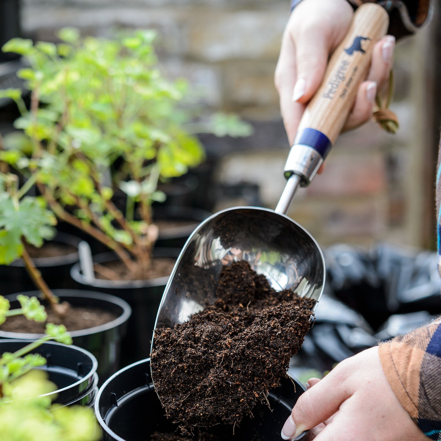 Soil Scoop