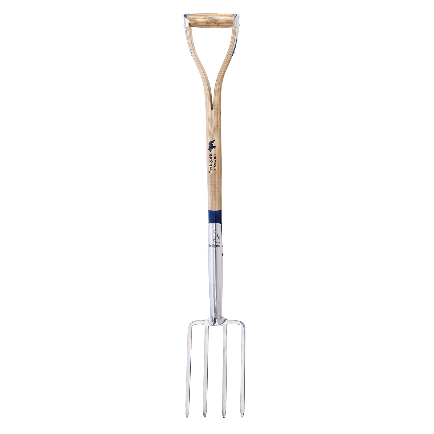 Border Fork